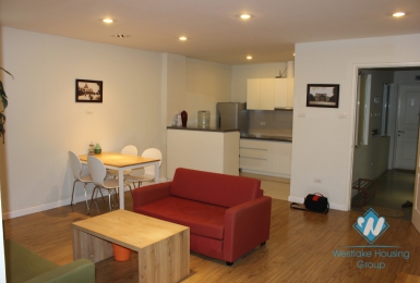 Modern apartment for rent in Au Co Street